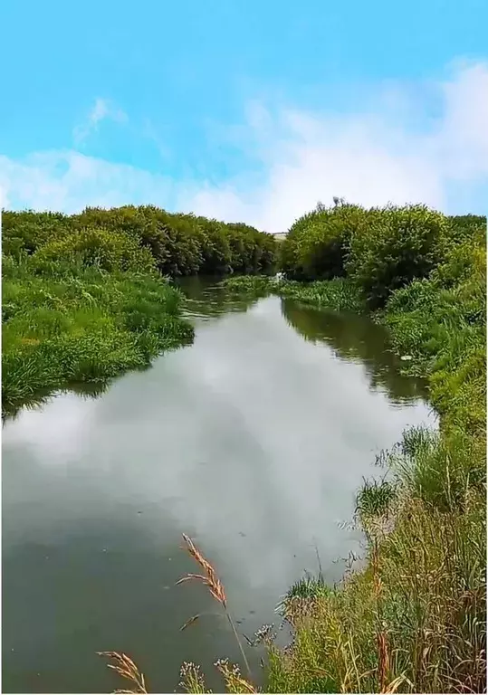 Участок в Ульяновская область, Цильнинское городское поселение, с. ... - Фото 0