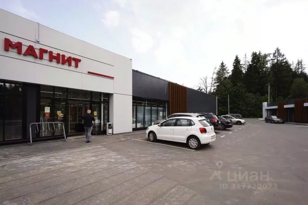 Торговая площадь в Московская область, Истра муниципальный округ, д. ... - Фото 2