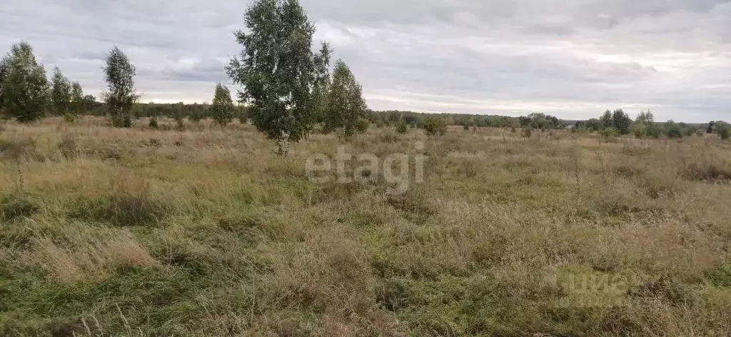 Участок в Новосибирская область, Искитимский район, Быстровский ... - Фото 1