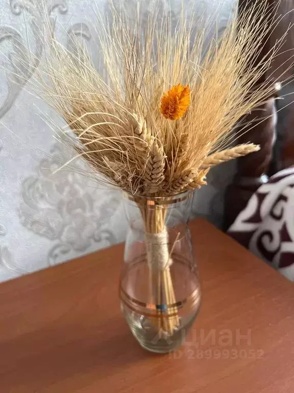 Дом в Ивановская область, Приволжский район, Плесское городское ... - Фото 0