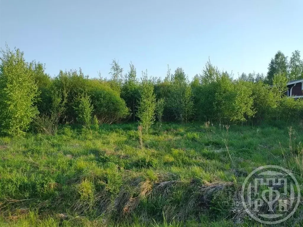 Участок в Ленинградская область, Выборгский район, Рощинское городское ... - Фото 1