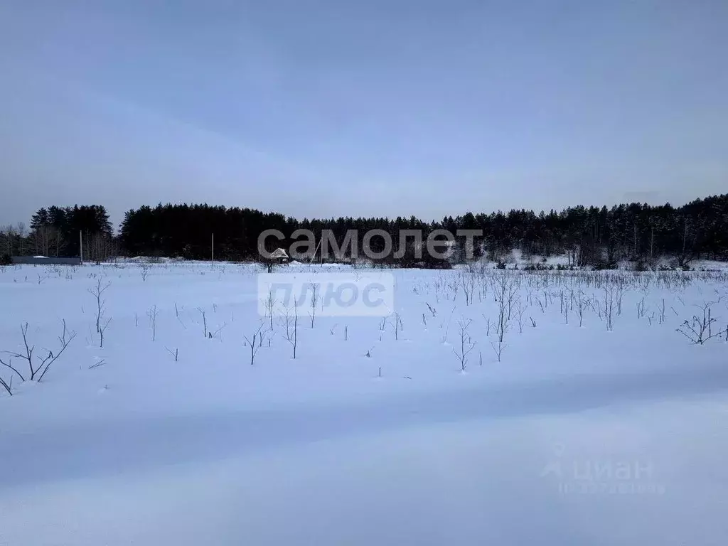Участок в Свердловская область, Первоуральск муниципальный округ, пос. ... - Фото 1