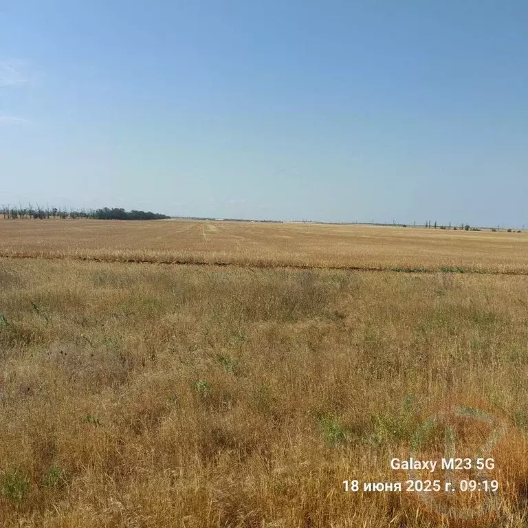 Участок в Крым, Сакский район, Лесновское с/пос, с. Прибрежное  (6.0 ... - Фото 2