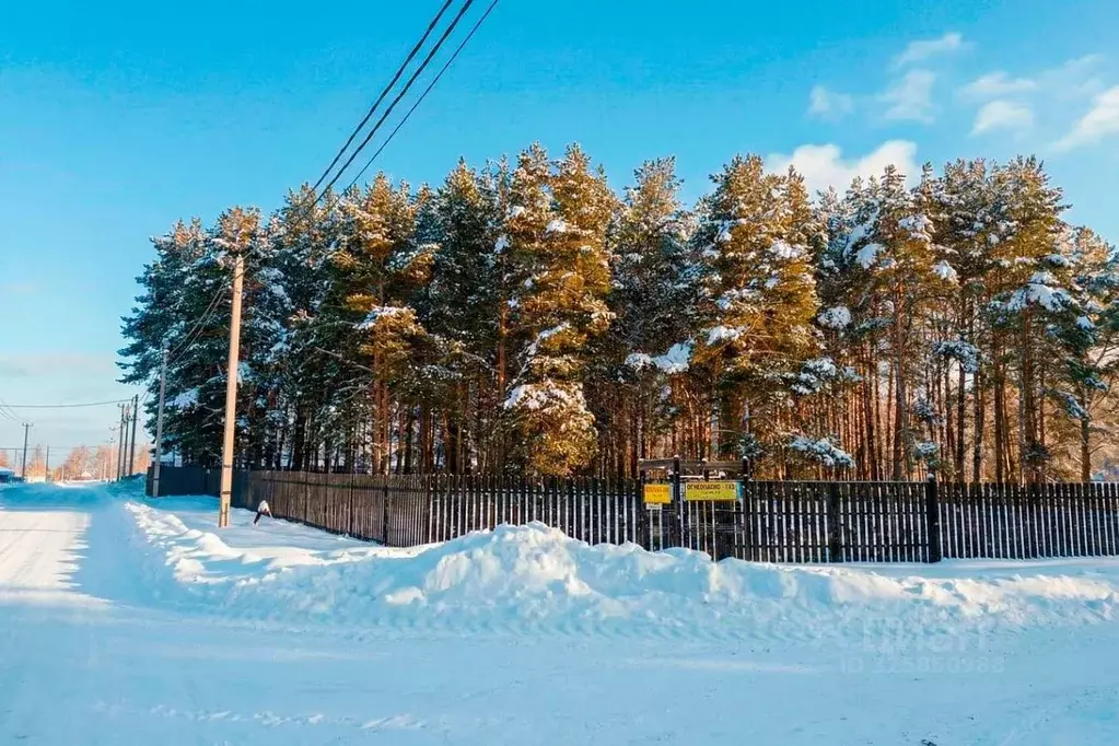 Участок в Московская область, Богородский городской округ, Богородск ... - Фото 2