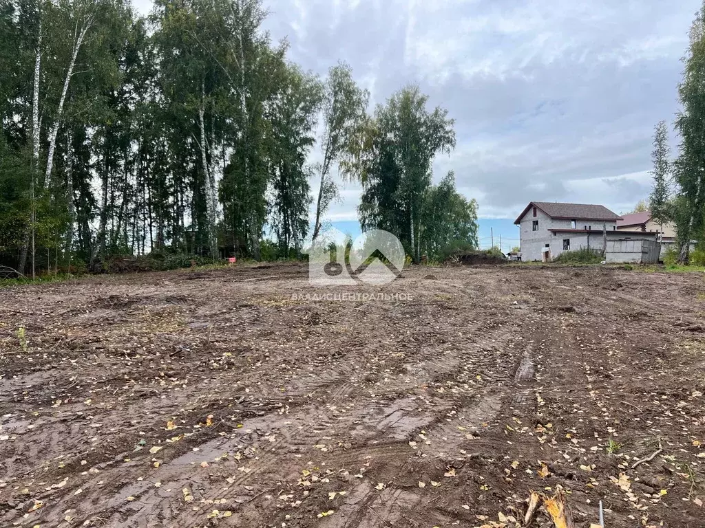 Участок в Новосибирская область, Новосибирский район, Барышевский ... - Фото 0