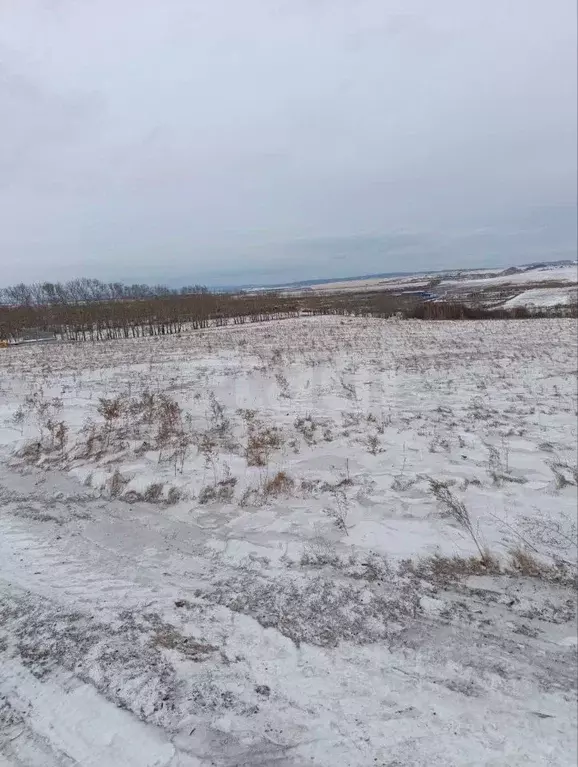Участок в Красноярский край, Красноярск городской округ, Березовка ... - Фото 2