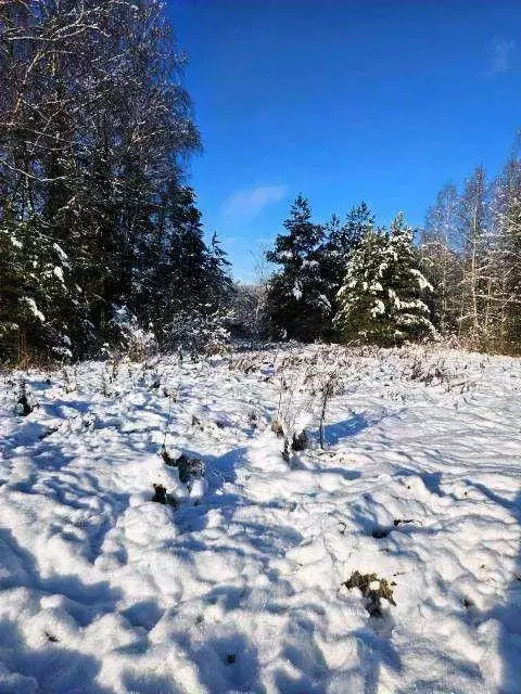 Участок в Владимирская область, Киржачский муниципальный округ, д. ... - Фото 1