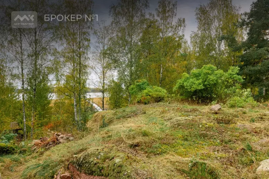 Участок в Ленинградская область, Выборг ул. Прибрежная (17.36 сот.) - Фото 2