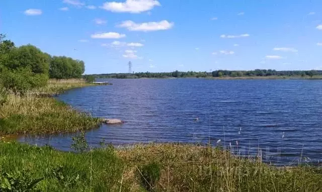 Участок в Тверская область, Кимрский муниципальный округ, д. Скулино  ... - Фото 0