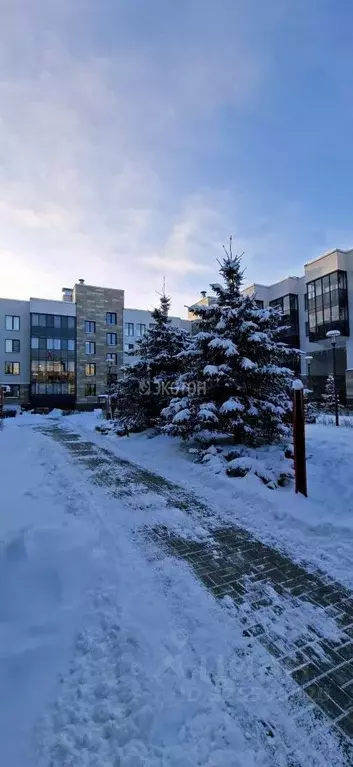 Студия Санкт-Петербург ул. Владимира Пчелинцева, 6к1 (25.0 м) - Фото 2