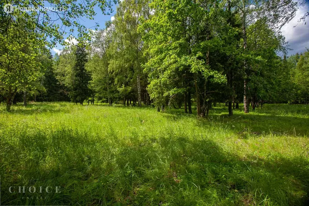 Купить Квартиру В Петрово Дальнее Красногорский