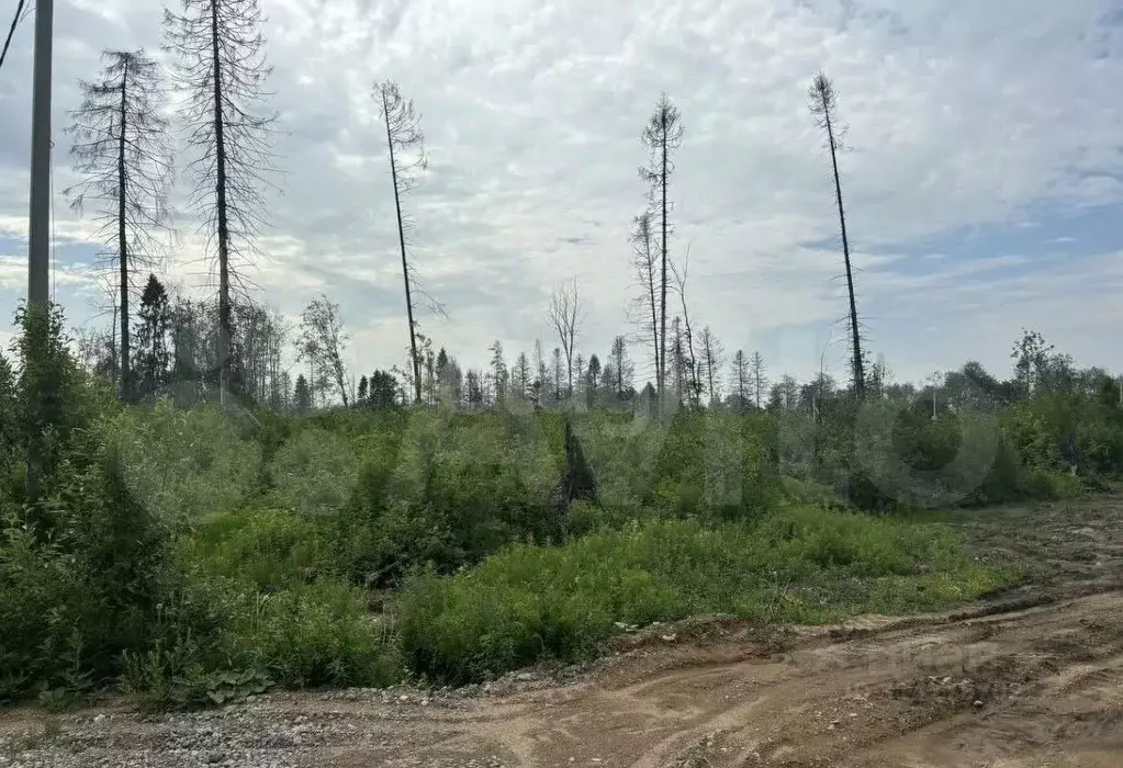 Участок в Вологодская область, Череповец ул. Ростовская (8.0 сот.) - Фото 0