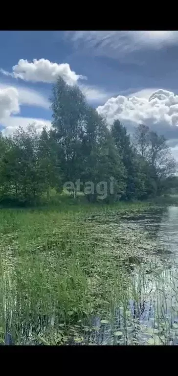 Участок в Псковская область, Новоржевский муниципальный округ, д. ... - Фото 0