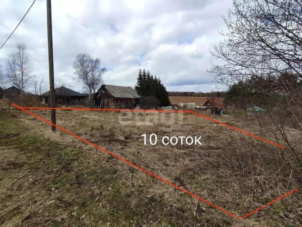Участок в Вологодская область, д. Фроловское  (10.0 сот.) - Фото 1