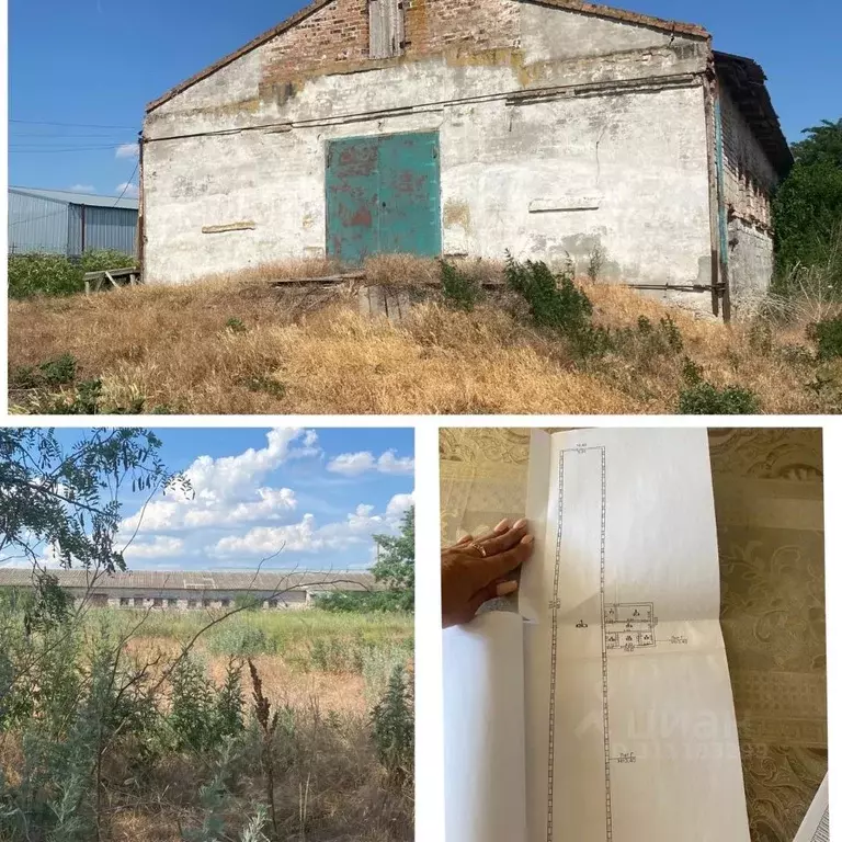 Помещение свободного назначения в Ростовская область, Азовский район, ... - Фото 1