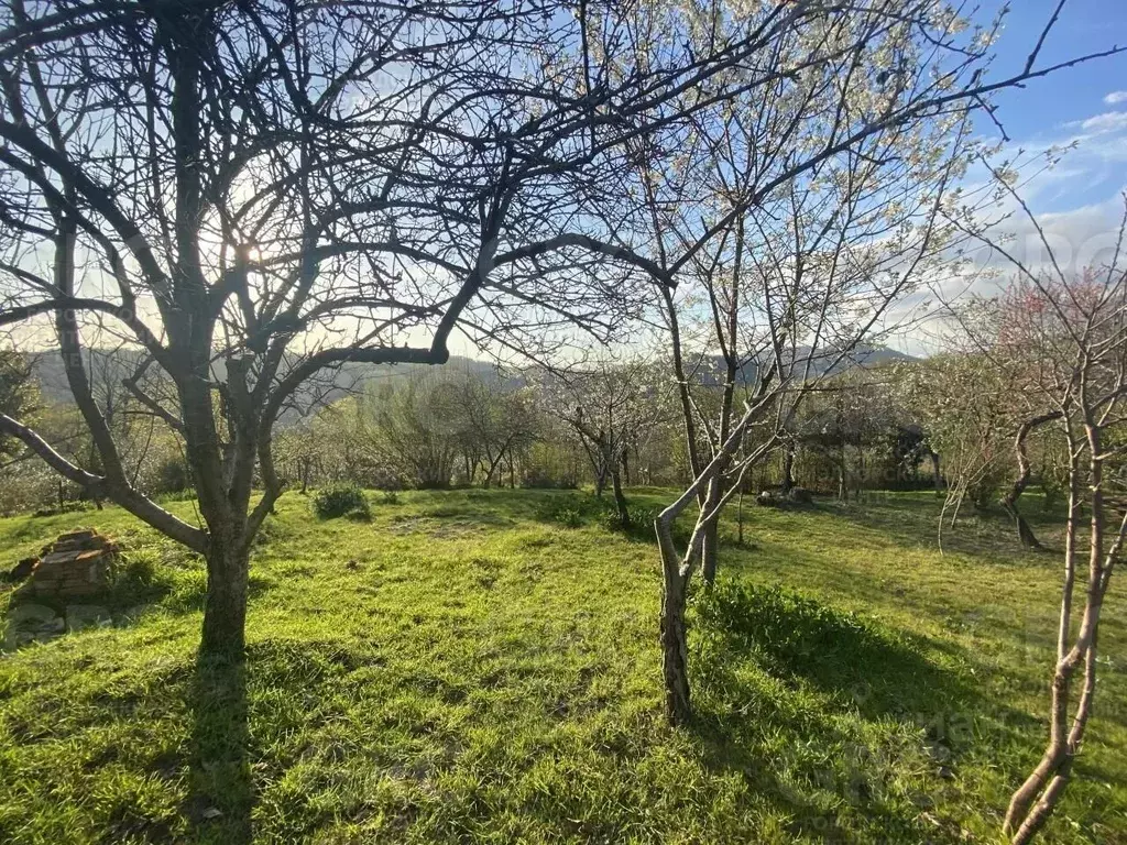 Участок в Краснодарский край, Сочи городской округ, с. Прогресс ул. ... - Фото 0