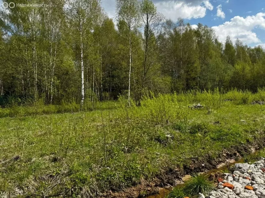 Участок в Московская область, Дмитровский муниципальный округ, дачный ... - Фото 1