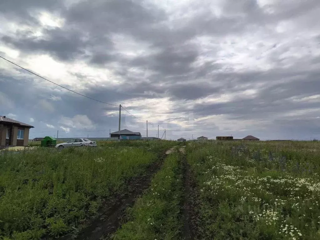 Участок в Белгородская область, Белгородский район, с. Стрелецкое 659 ... - Фото 0