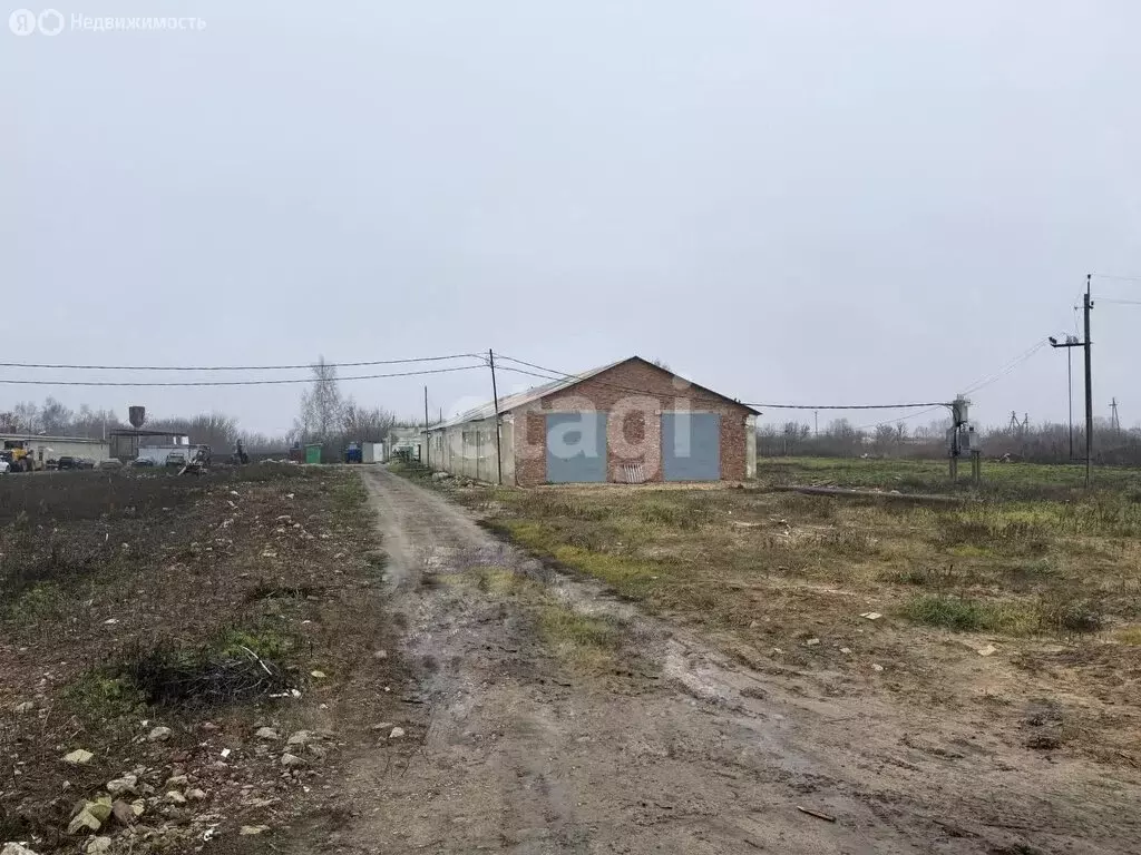 Помещение свободного назначения (683.9 м) - Фото 2