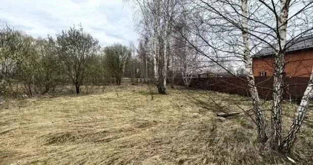 Участок в Московская область, Коломна городской округ, с. Чанки  ... - Фото 1
