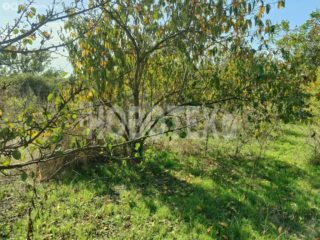 Участок в село Львовское, Октябрьская улица (6 м) - Фото 2