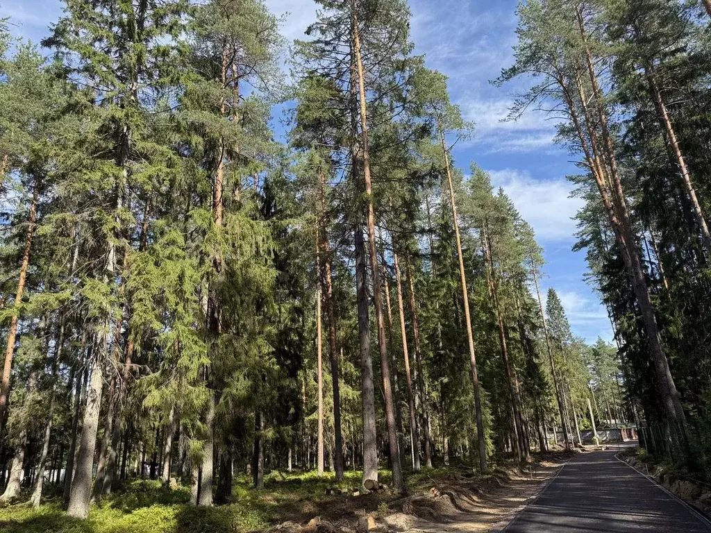 Участок в Санкт-Петербург пос. Репино, Финляндская ул. (1.0 сот.) - Фото 1