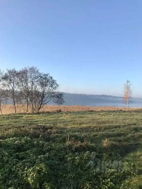 Участок в Новгородская область, Валдайский муниципальный округ, ... - Фото 1