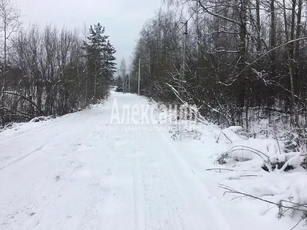 Участок в Ленинградская область, Приозерский район, Ларионовское ... - Фото 0