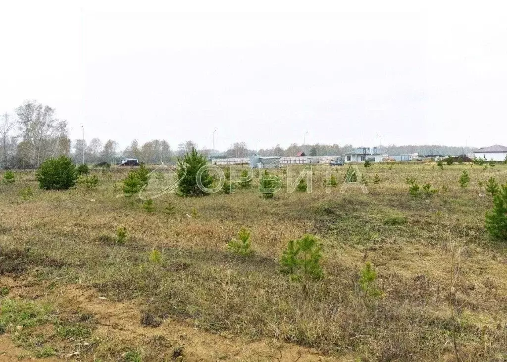 Участок в Тюменская область, Тюменский муниципальный округ, с. Кулига  ... - Фото 1