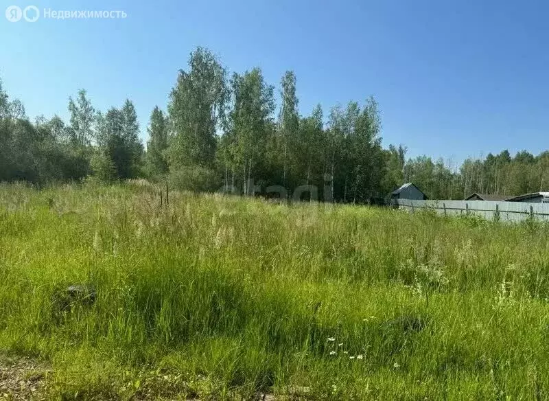 Участок в Ярославский муниципальный округ, СНТ Росток (20 м) - Фото 1