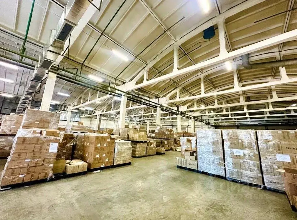 Склад в Москва Рябиновая ул., 37С1 (1574 м) - Фото 2