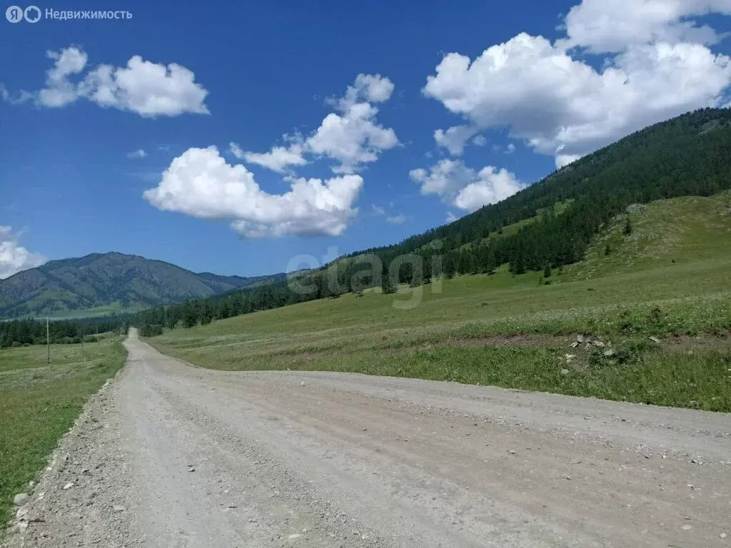 Участок в Шебалинский район, село Барагаш (168.63 м) - Фото 1