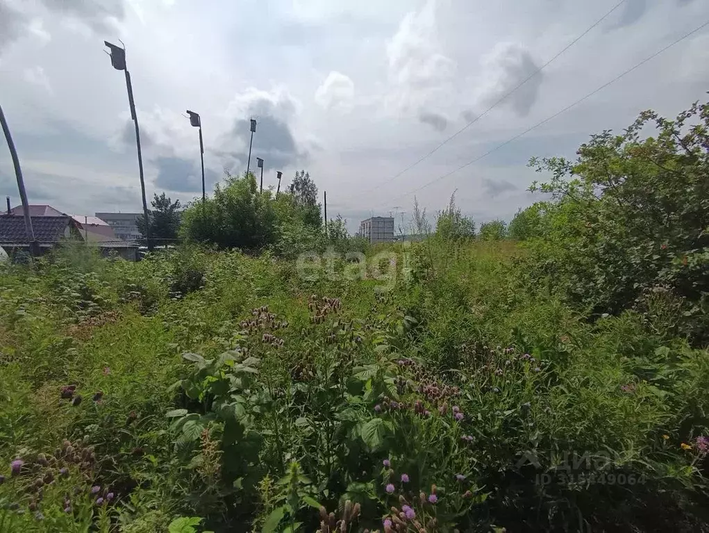 Участок в Свердловская область, Кушва Энергетик-1 садовое дачное ... - Фото 1