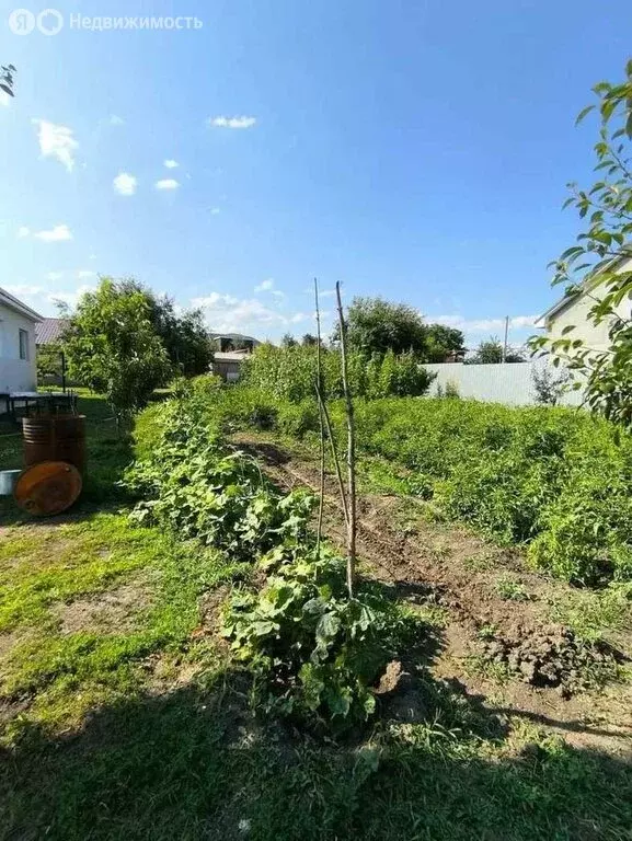 Участок в село Александровка, Рабочая улица, 12 (6.91 м) - Фото 2