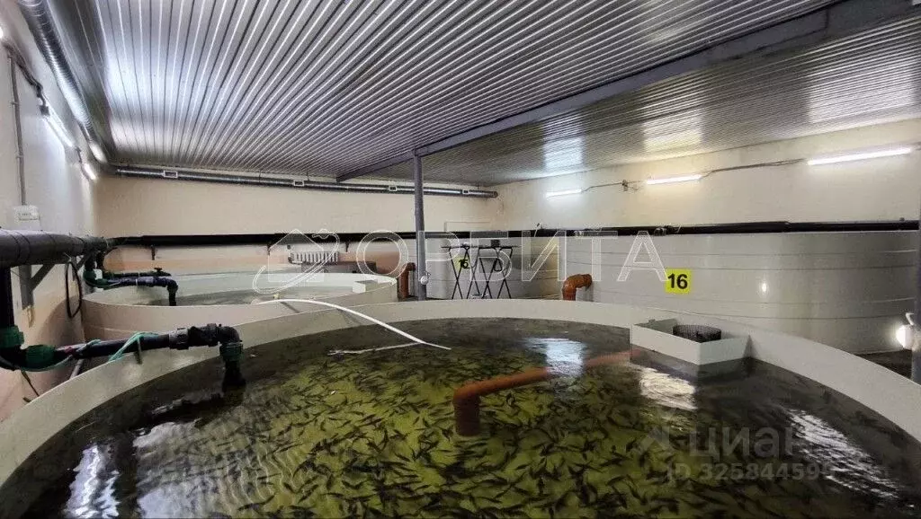 Производственное помещение в Тюменская область, Тюменский ... - Фото 1