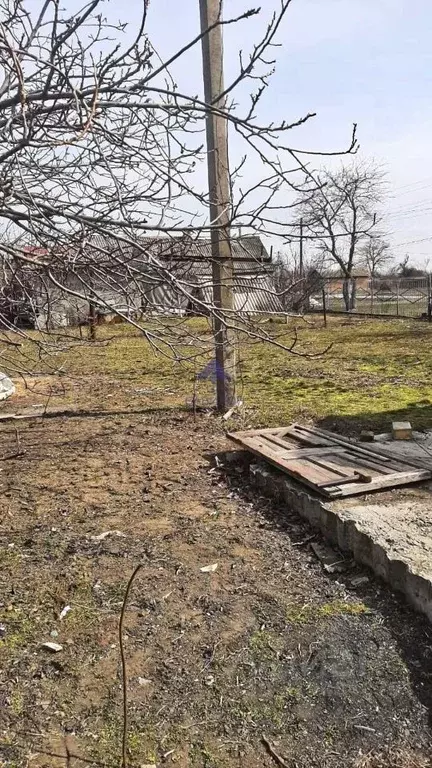 Участок в Ростовская область, Волгодонской район, Романовская ст-ца ... - Фото 1