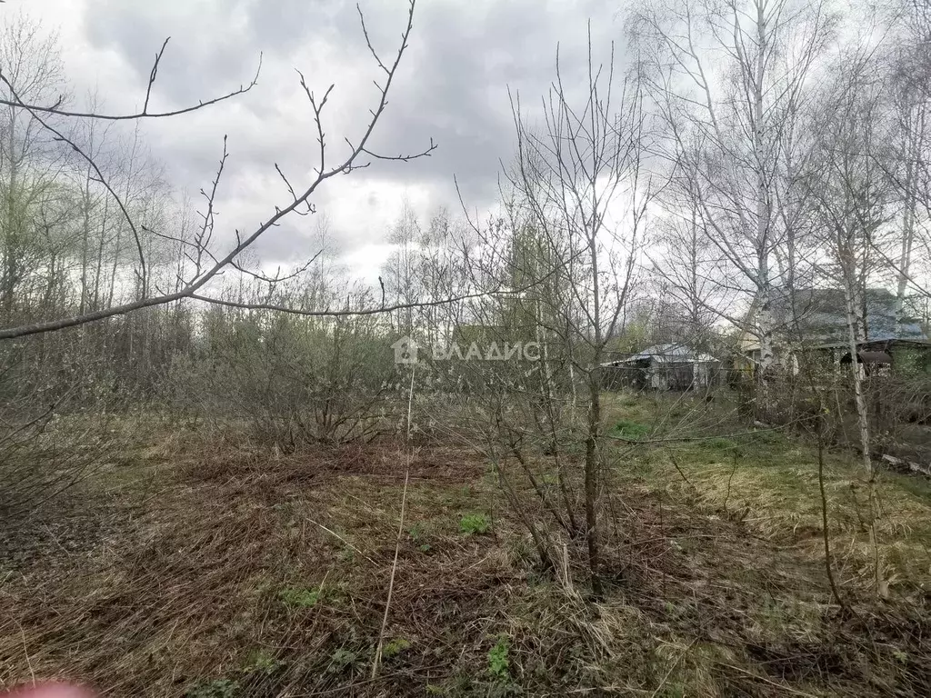 Участок в Московская область, Орехово-Зуевский городской округ, Лужки ... - Фото 0