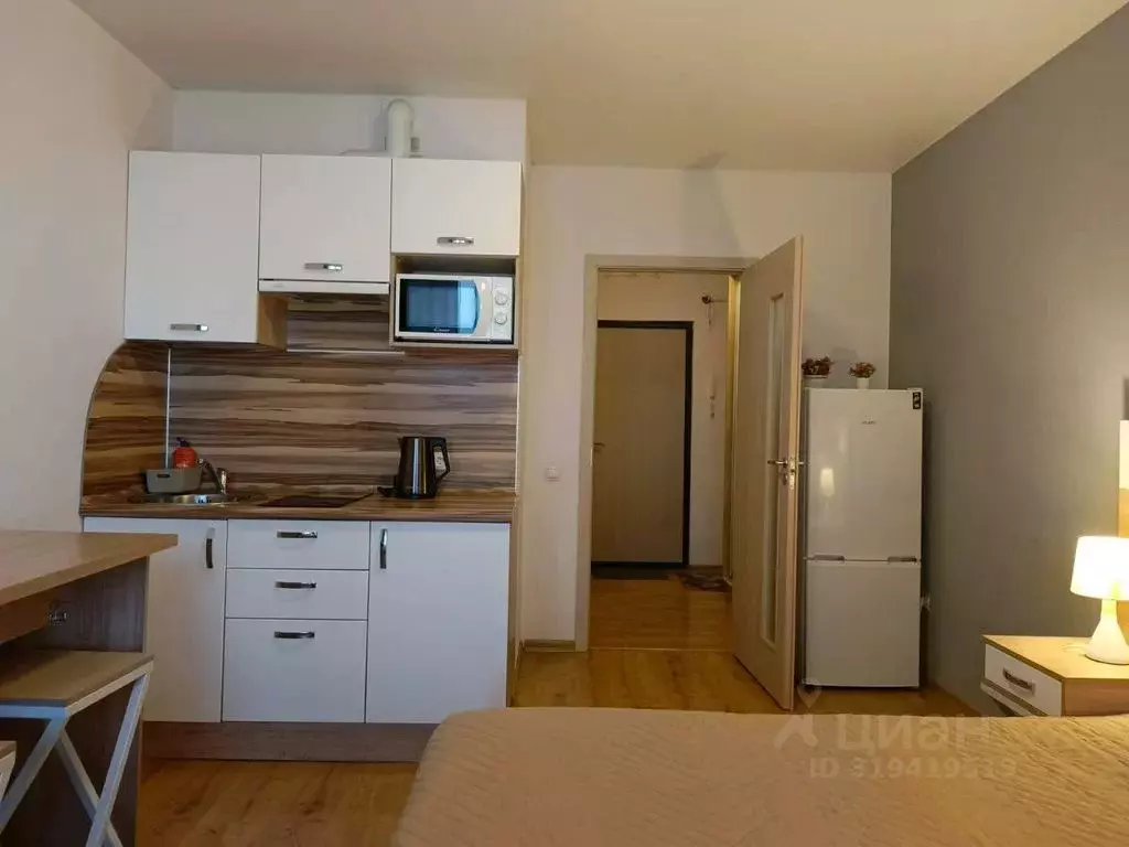 Студия Санкт-Петербург бул. Александра Грина, 3 (30.0 м) - Фото 1