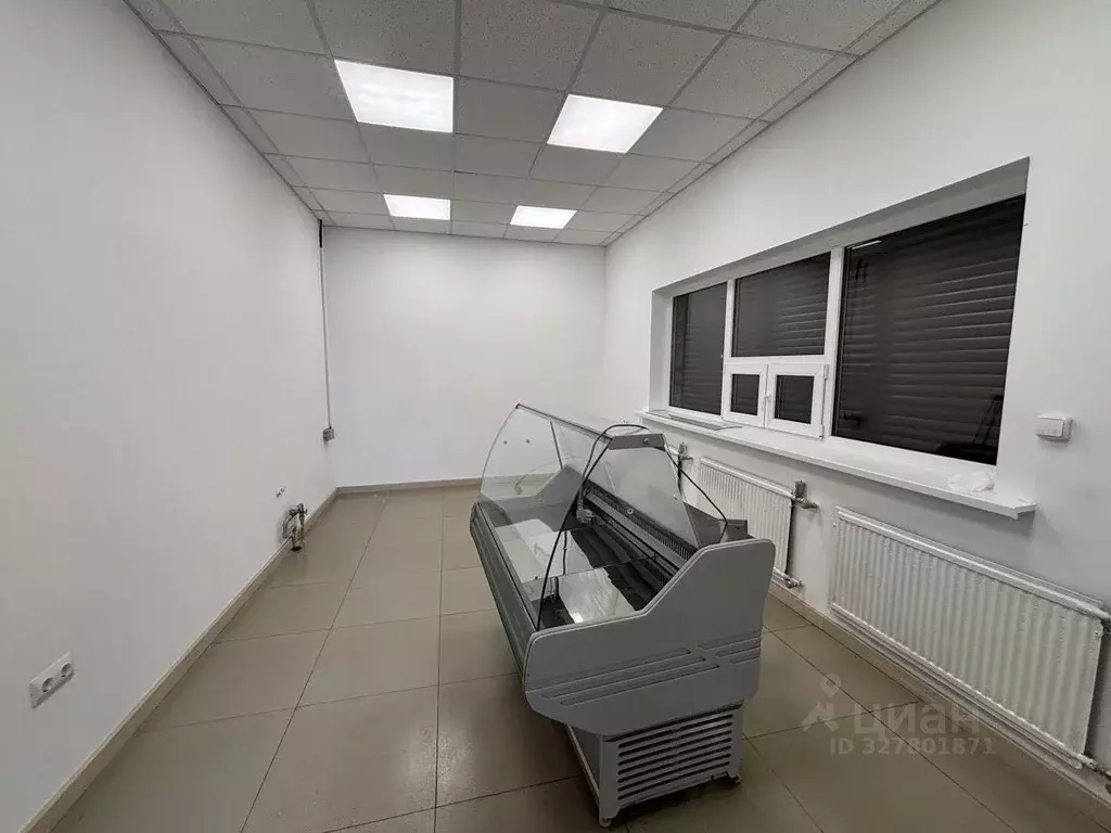 Торговая площадь в Северная Осетия, Владикавказ ул. Зураба Магкаева, ... - Фото 1