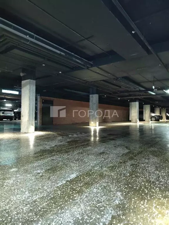 Гараж в Новосибирская область, Новосибирск ул. Семьи Шамшиных, 93 (14 ... - Фото 2