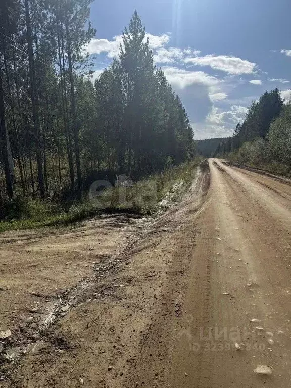 Участок в Иркутская область, Иркутский муниципальный округ, д. ... - Фото 1
