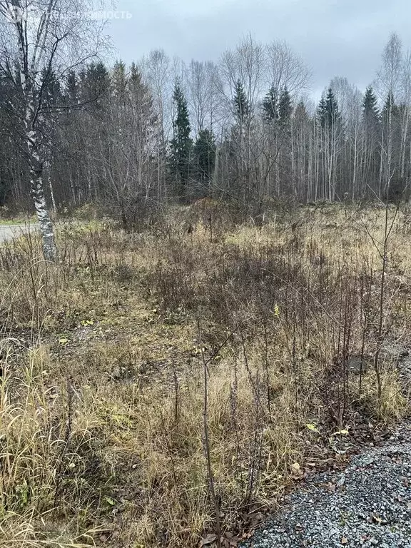 Участок в Лахденпохья, Загородная улица (15 м) - Фото 2