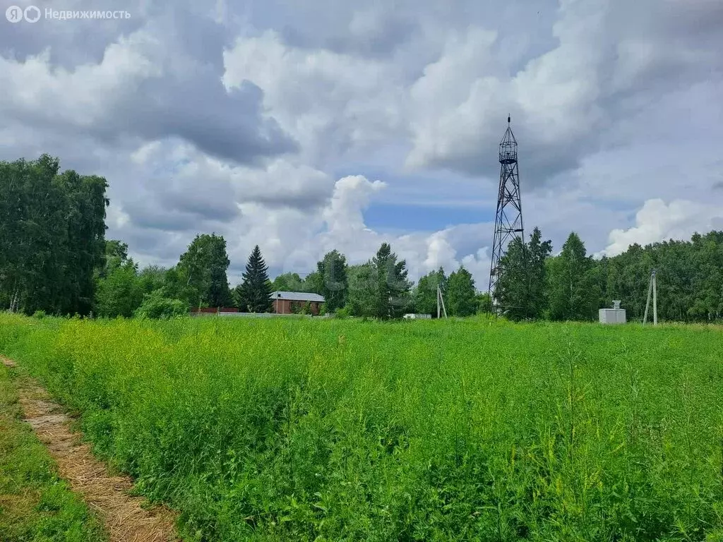 Участок в Новосибирск, СНТ Приморье (4 м) - Фото 1