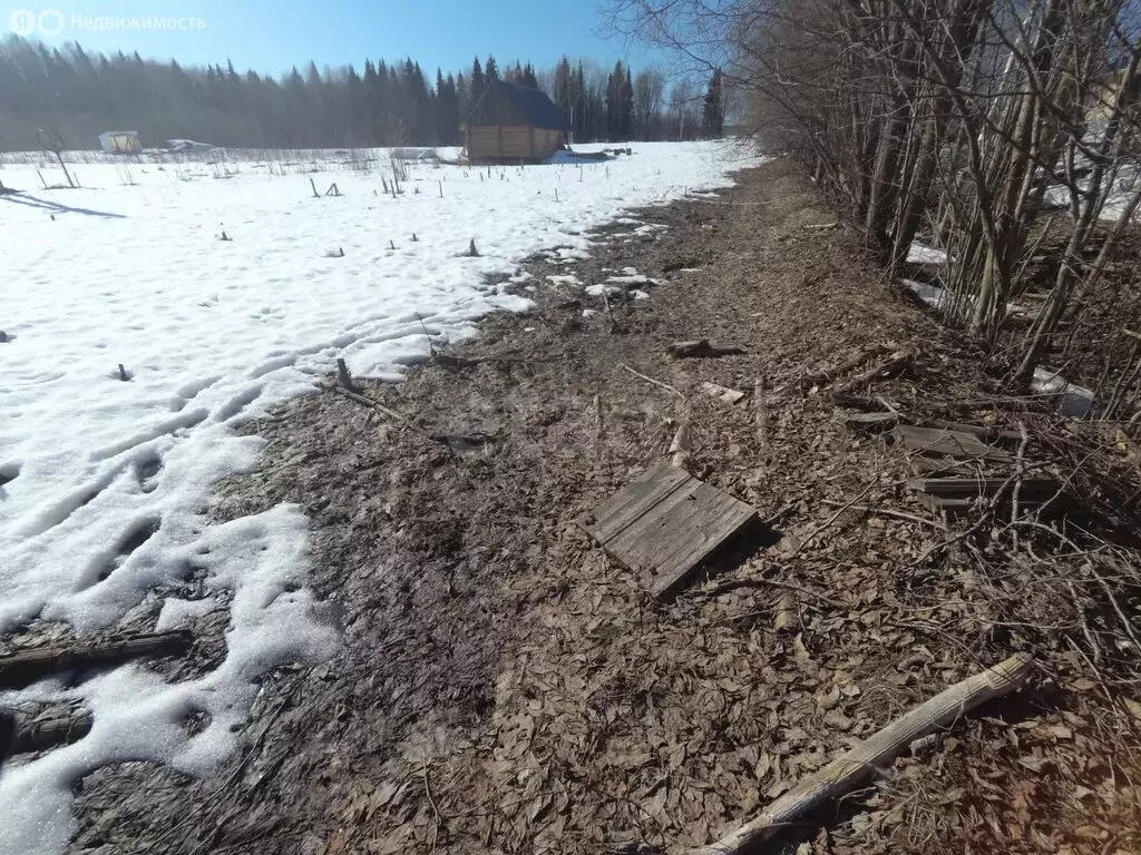 Участок в Республика Коми, муниципальный район Сыктывдинский, село ... - Фото 2