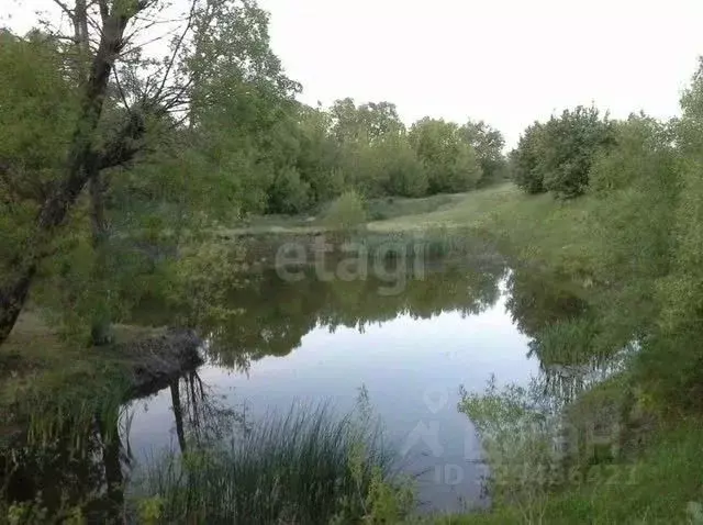 Участок в Тамбовская область, Знаменский муниципальный округ, д. ... - Фото 1