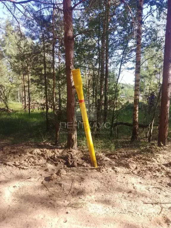 Участок в Владимирская область, Владимир пос. Сельцо, ул. Селецкая ... - Фото 0