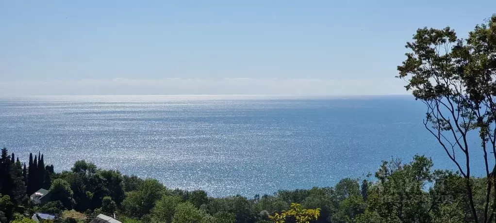 Участок в Краснодарский край, Сочи Новороссийское ш. (14.0 сот.) - Фото 2