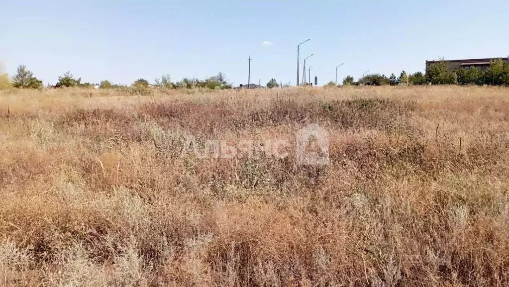 Участок в Ростовская область, Белокалитвинский район, Нижнепоповское ... - Фото 2