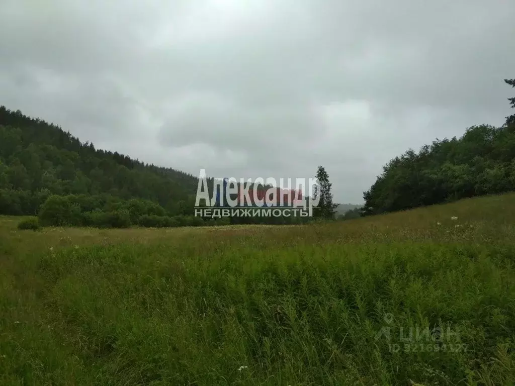 Участок в Карелия, Лахденпохский муниципальный округ, пос. Микли  ... - Фото 1