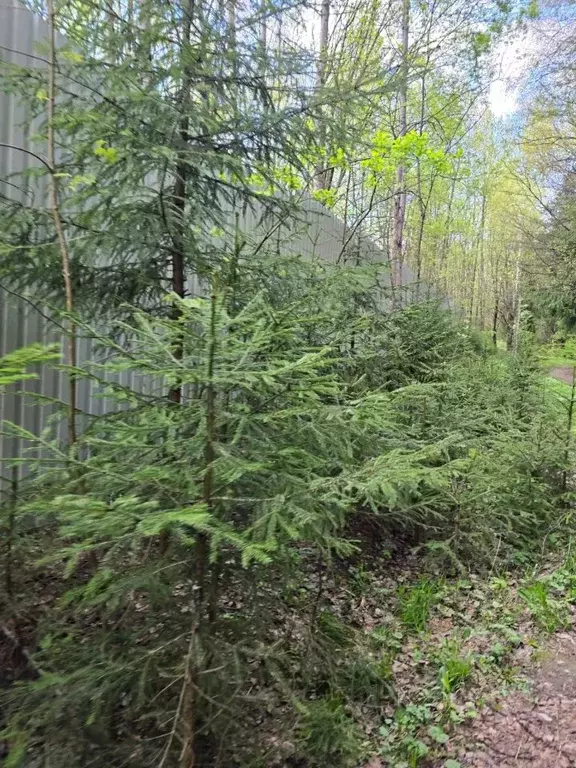 Участок в Московская область, Химки Новогорск мкр,  (15.0 сот.) - Фото 2